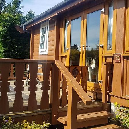 Apartamento Cabin Trawsfynydd Exterior foto