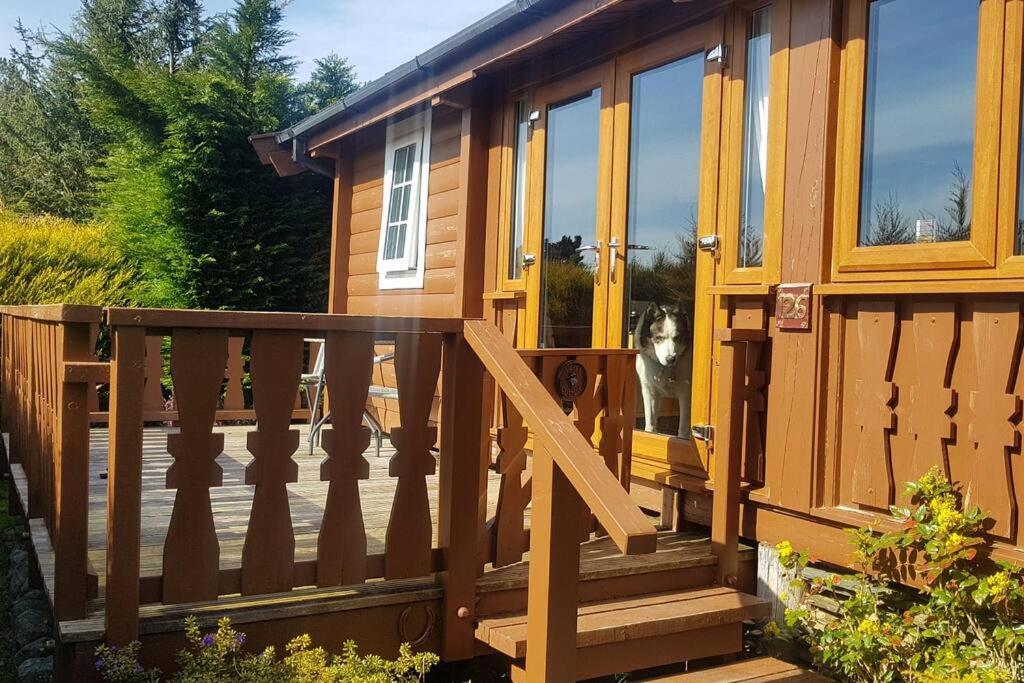 Apartamento Cabin Trawsfynydd Exterior foto